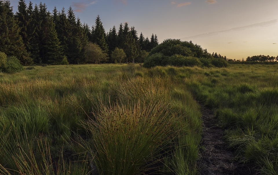 wanderung